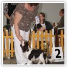 (75/145): Cavikada 2012, dzie drugi (27.05.2012)